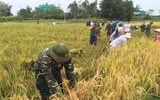 [ẢNH] Giữ vững màu xanh nơi biên cương phía Bắc