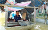 Công an Hà Nội chung sức hỗ trợ, giúp đỡ người dân vùng ngập lụt huyện Chương Mỹ