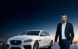 David Beckham - 
