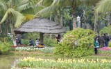 Lạc lối giữa 