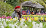Lạc lối giữa 