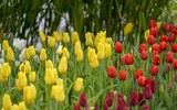 Lạc lối giữa 