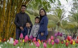 Lạc lối giữa 