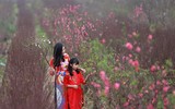Khoảnh khắc đẹp của mẹ và con bên vườn đào Nhật Tân