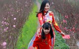 Khoảnh khắc đẹp của mẹ và con bên vườn đào Nhật Tân