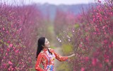Khoảnh khắc đẹp của mẹ và con bên vườn đào Nhật Tân