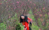 Khoảnh khắc đẹp của mẹ và con bên vườn đào Nhật Tân