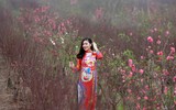 Khoảnh khắc đẹp của mẹ và con bên vườn đào Nhật Tân