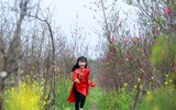 Khoảnh khắc đẹp của mẹ và con bên vườn đào Nhật Tân