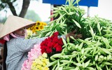 Hoa loa kèn tinh khôi xuống phố Hà Nội