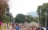 Rực rỡ lễ hội hoa anh đào