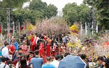 Rực rỡ lễ hội hoa anh đào