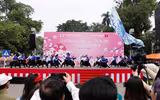 Rực rỡ lễ hội hoa anh đào
