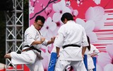 Rực rỡ lễ hội hoa anh đào
