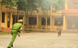 Cảnh khuyển tranh tài tấn công tội phạm, phát hiện thuốc nổ