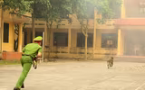 Cảnh khuyển tranh tài tấn công tội phạm, phát hiện thuốc nổ