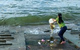 SOS rác thải nhựa, hãy cứu lấy biển