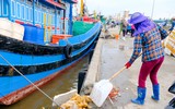 SOS rác thải nhựa, hãy cứu lấy biển