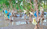 SOS rác thải nhựa, hãy cứu lấy biển
