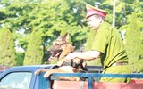 Xem cảnh khuyển truy tìm ma túy và thuốc nổ