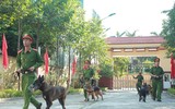 Xem cảnh khuyển truy tìm ma túy và thuốc nổ