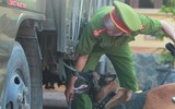 Xem cảnh khuyển truy tìm ma túy và thuốc nổ