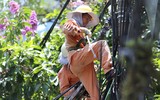 Nhọc nhằn mưu sinh giữa trời nắng nóng