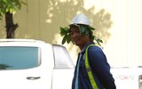 Nhọc nhằn mưu sinh giữa trời nắng nóng