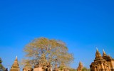 Khám phá Di sản thế giới ở Myanmar vừa được UNESCO công nhận