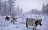 Khám phá ngôi làng quanh năm băng giá