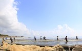 Vẻ đẹp hoang sơ của nhà thờ đổ Nam Định