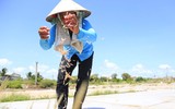 Vẻ đẹp hoang sơ của nhà thờ đổ Nam Định