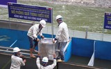Trình diễn xử lý nước sông Tô Lịch bằng công nghệ Nano - Bioreactor