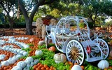 Độc đáo ngôi làng làm bằng bí ngô ở lễ hội Arboretum