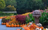 Độc đáo ngôi làng làm bằng bí ngô ở lễ hội Arboretum