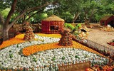 Độc đáo ngôi làng làm bằng bí ngô ở lễ hội Arboretum