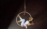 Mãn nhãn nghệ thuật xiếc