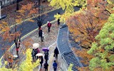 Những điểm đến đẹp như cổ tích khi mùa thu tới