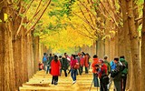 Những điểm đến đẹp như cổ tích khi mùa thu tới
