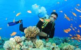 Đẹp hút hồn hòn đảo có nước trong xanh nhất thế giới