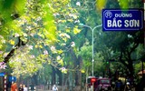 Hà Nội mùa hoa ban