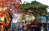 Hà Nội mùa cây bàng đỏ lá