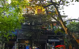 Hà Nội mùa cây bàng đỏ lá