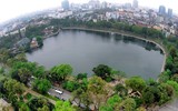 Màu xanh đang phủ phố phường