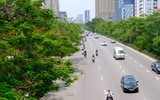 Màu xanh đang phủ phố phường