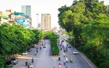 Màu xanh đang phủ phố phường
