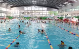 Bể bơi trong nhà hút khách những ngày nắng nóng