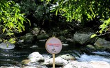 Suối nước Moọc, điểm đến không thể bỏ qua ở Quảng Bình