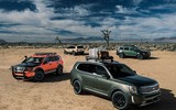 [ẢNH] Kia Telluride 2020: Rộng rãi và đẩy đủ tiện nghi