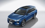[ẢNH] Hyundai Santa Fe trục cơ sở dài: Mở cửa, khởi động bằng vân tay
